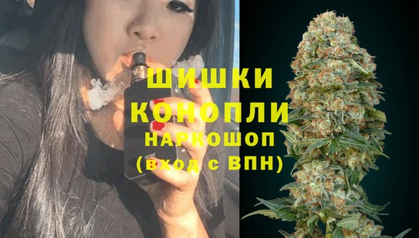 гидра Аркадак
