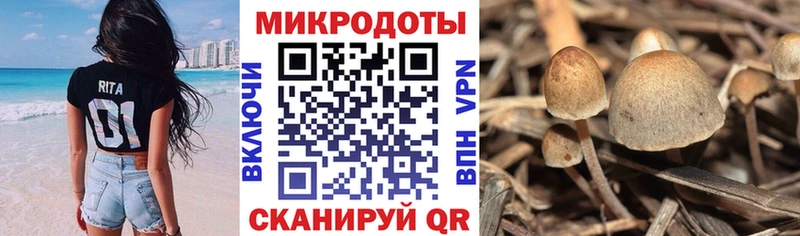 ссылка на мегу рабочий сайт Катайск Галлюциногенные грибы MAGIC MUSHROOMS
